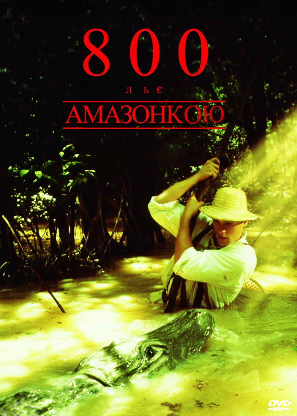 Вісімсот льє вниз Амазонкою 