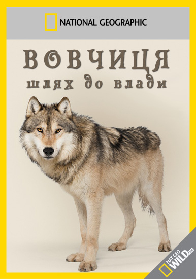 Вовчиця - шлях до влади