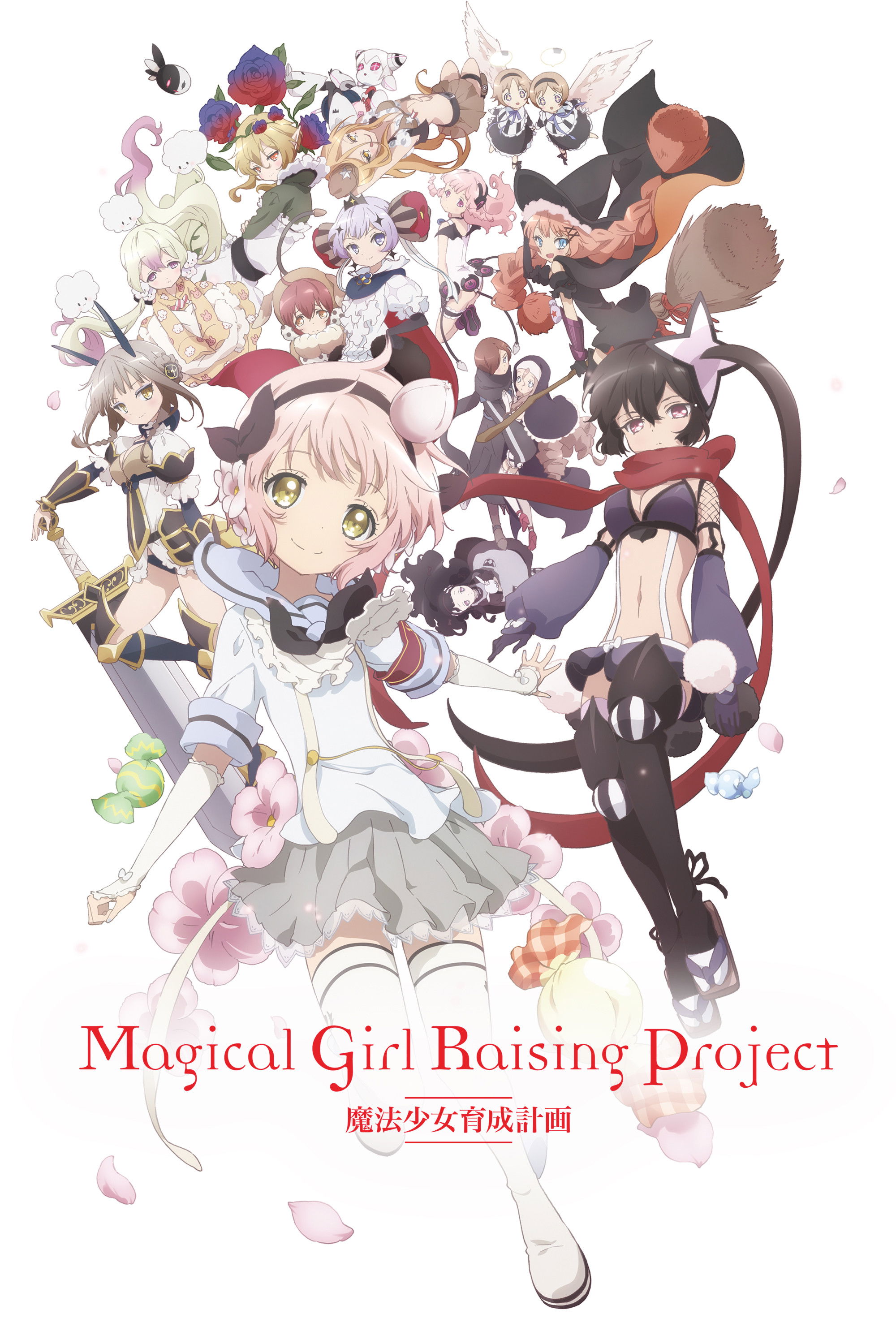 Проєкт виховання дівчат-чарівниць