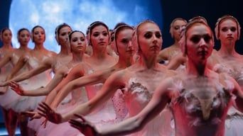 Чорний лебідь