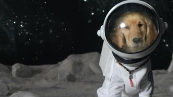 Космічні пригоди цуценят