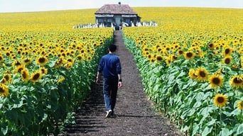 І все освітилося