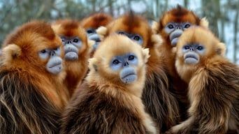 Сім світів, одна планета
