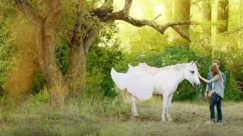 Пегас: Чарівний поні