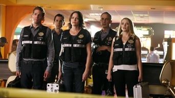 CSI: Безсмертя (Фінал серіалу)
