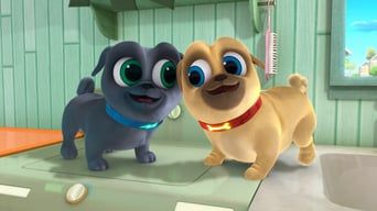 Мопсики-приятелі