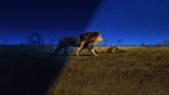 Кольори нічної планети