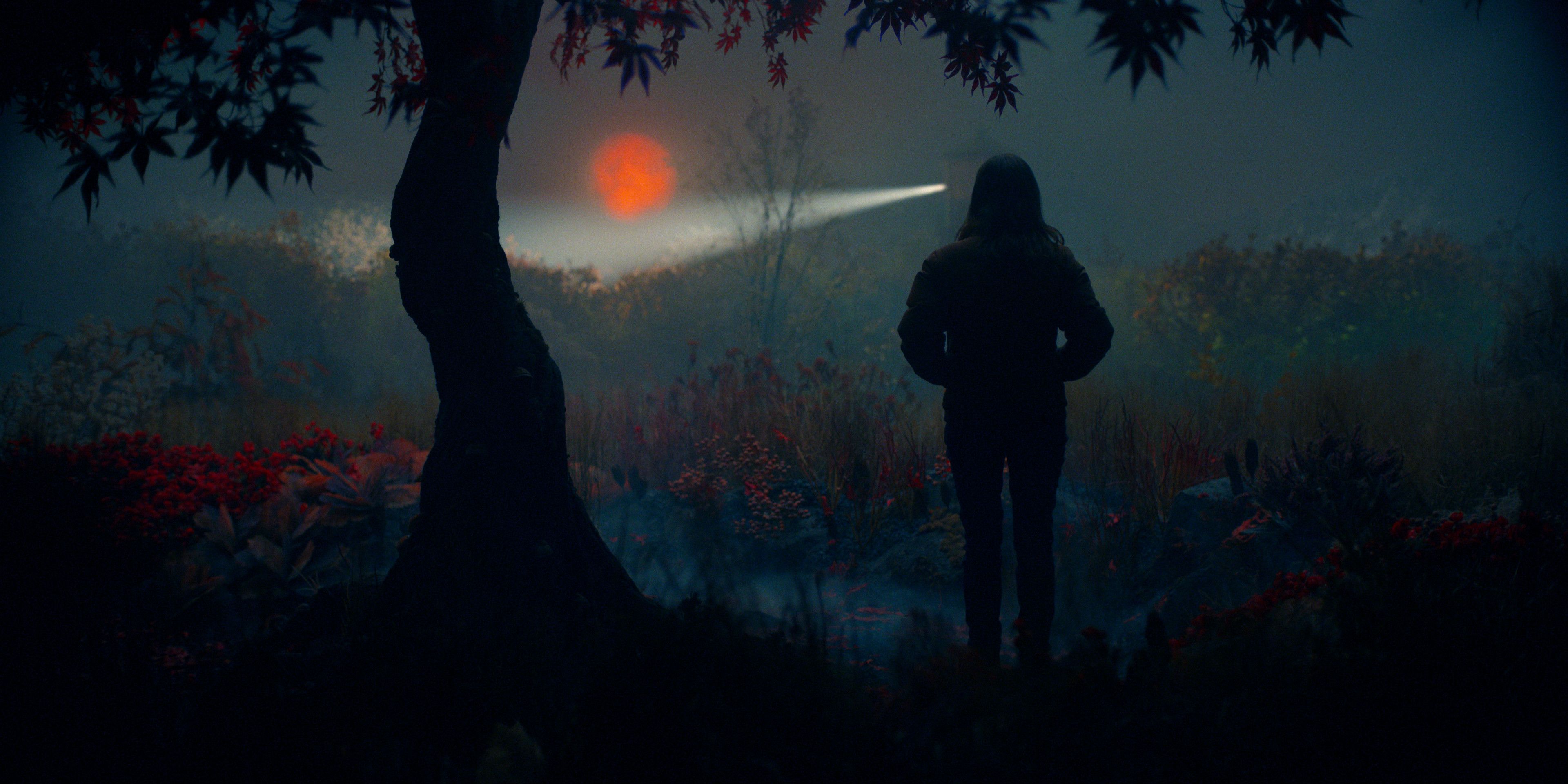Історія Лізі