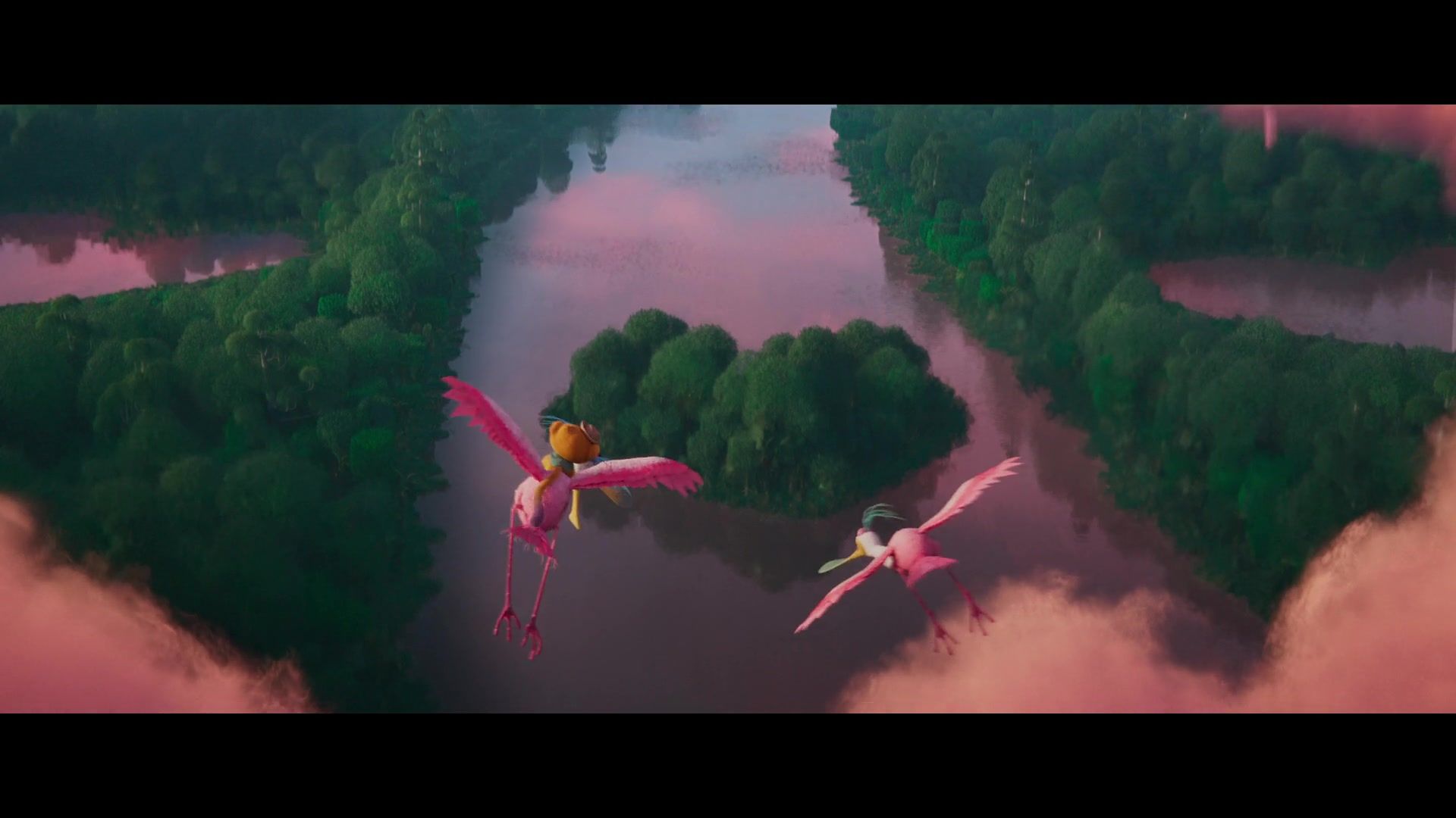 Дивовижна подорож Віво