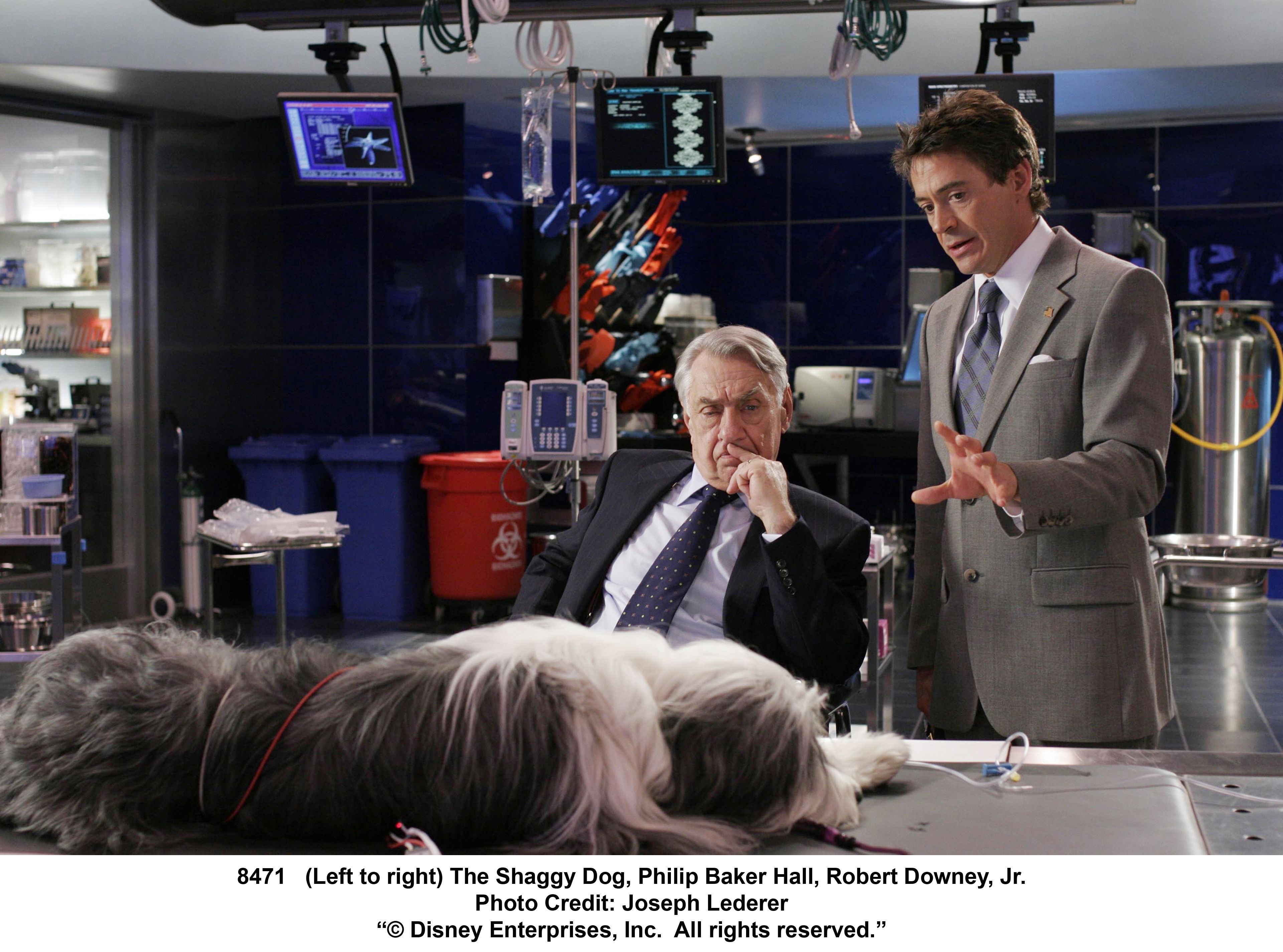 Кудлатий тато