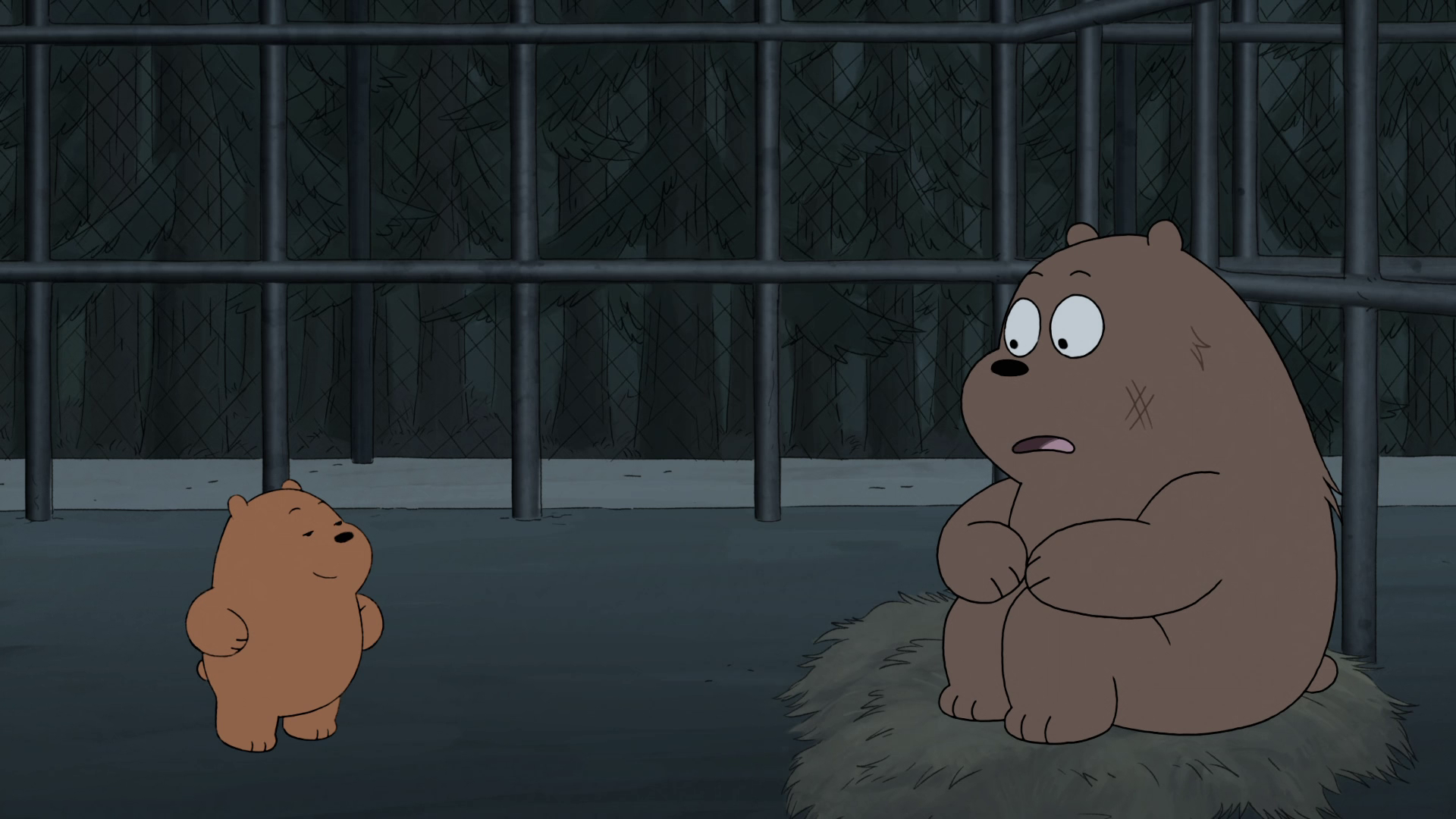 Вся правда про ведмедів: Фільм