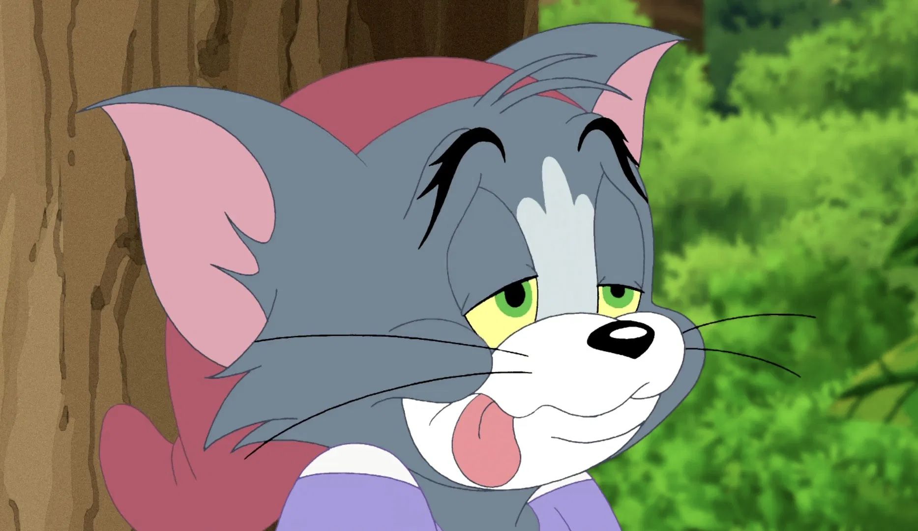 Том і Джеррі проти карибських піратів