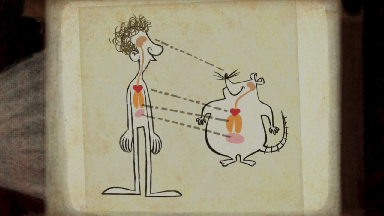 Твій друг Пацюк