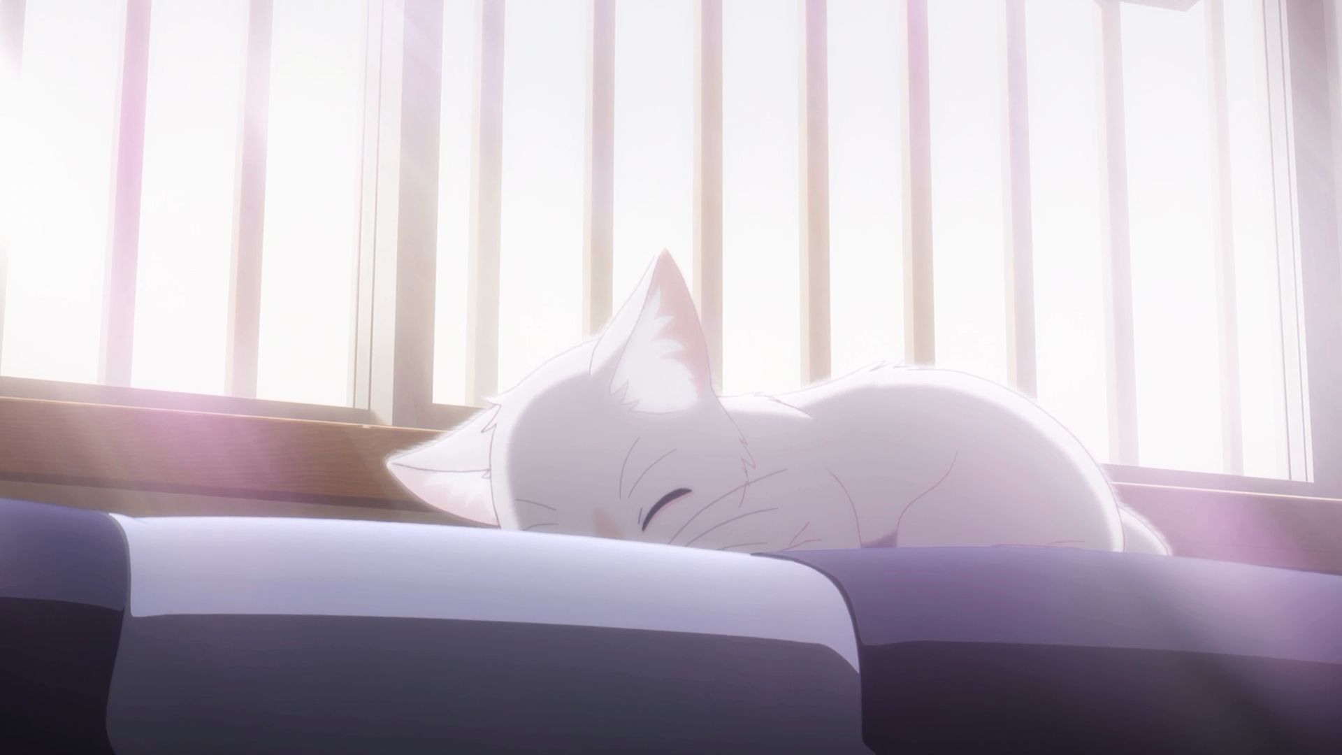 Крізь сльози я прикидаюсь кішкою