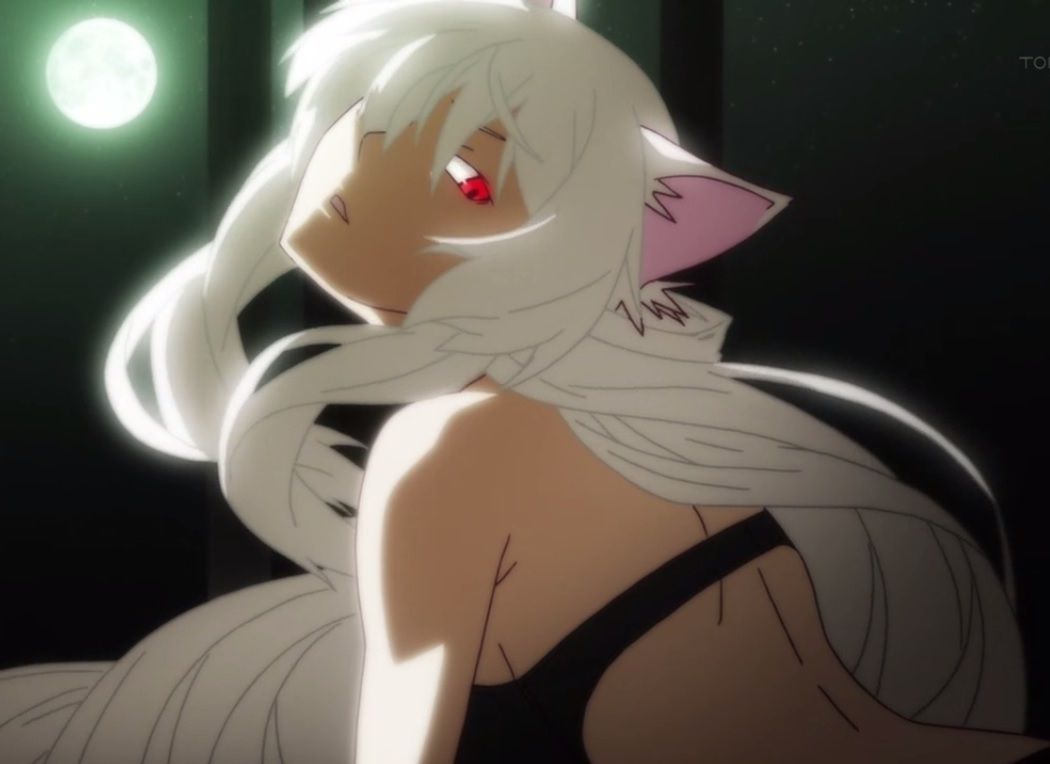 Історія кішки