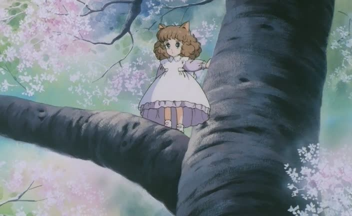 Зірка Пухнастії