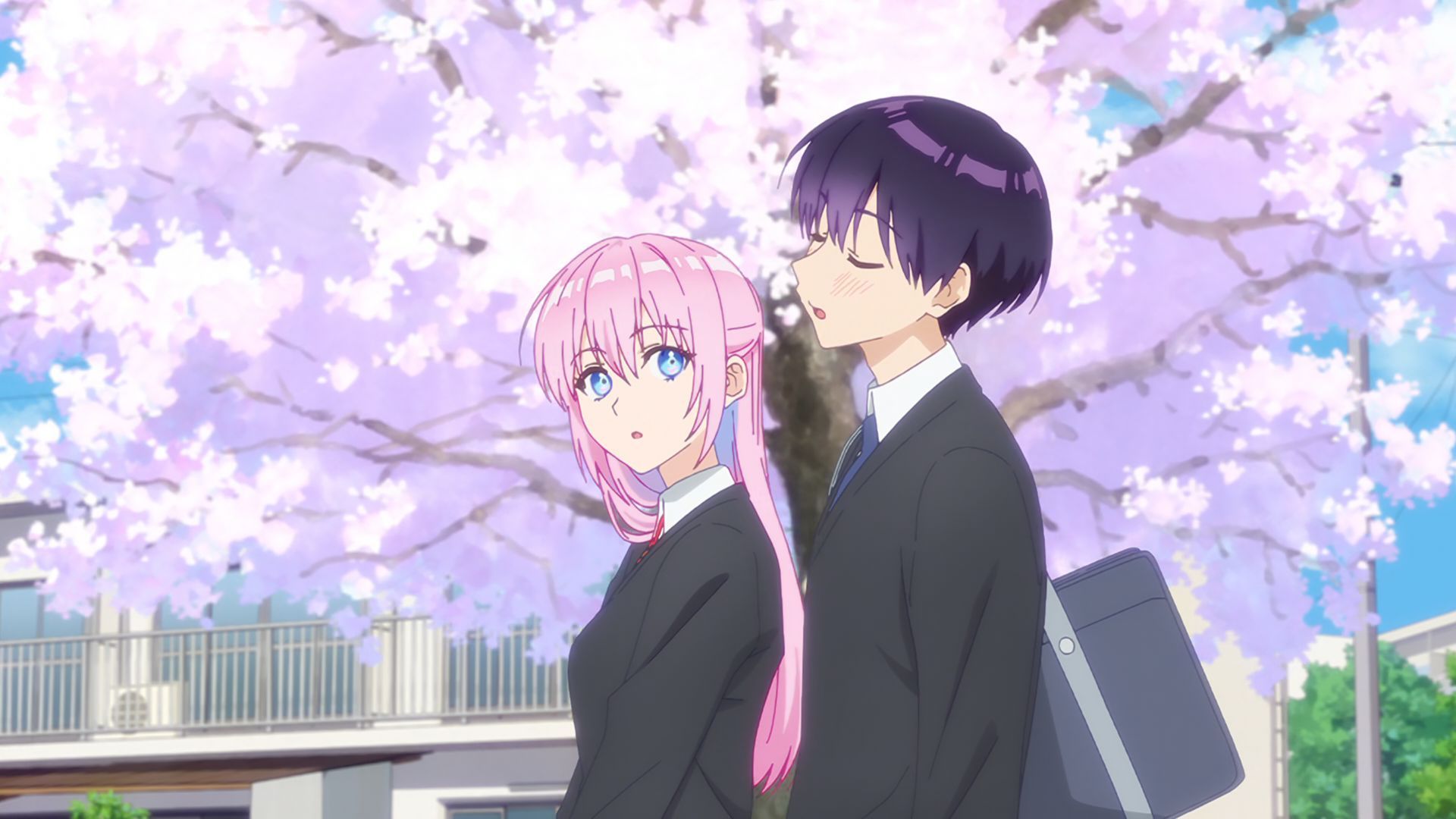 Шікіморі не лише мила