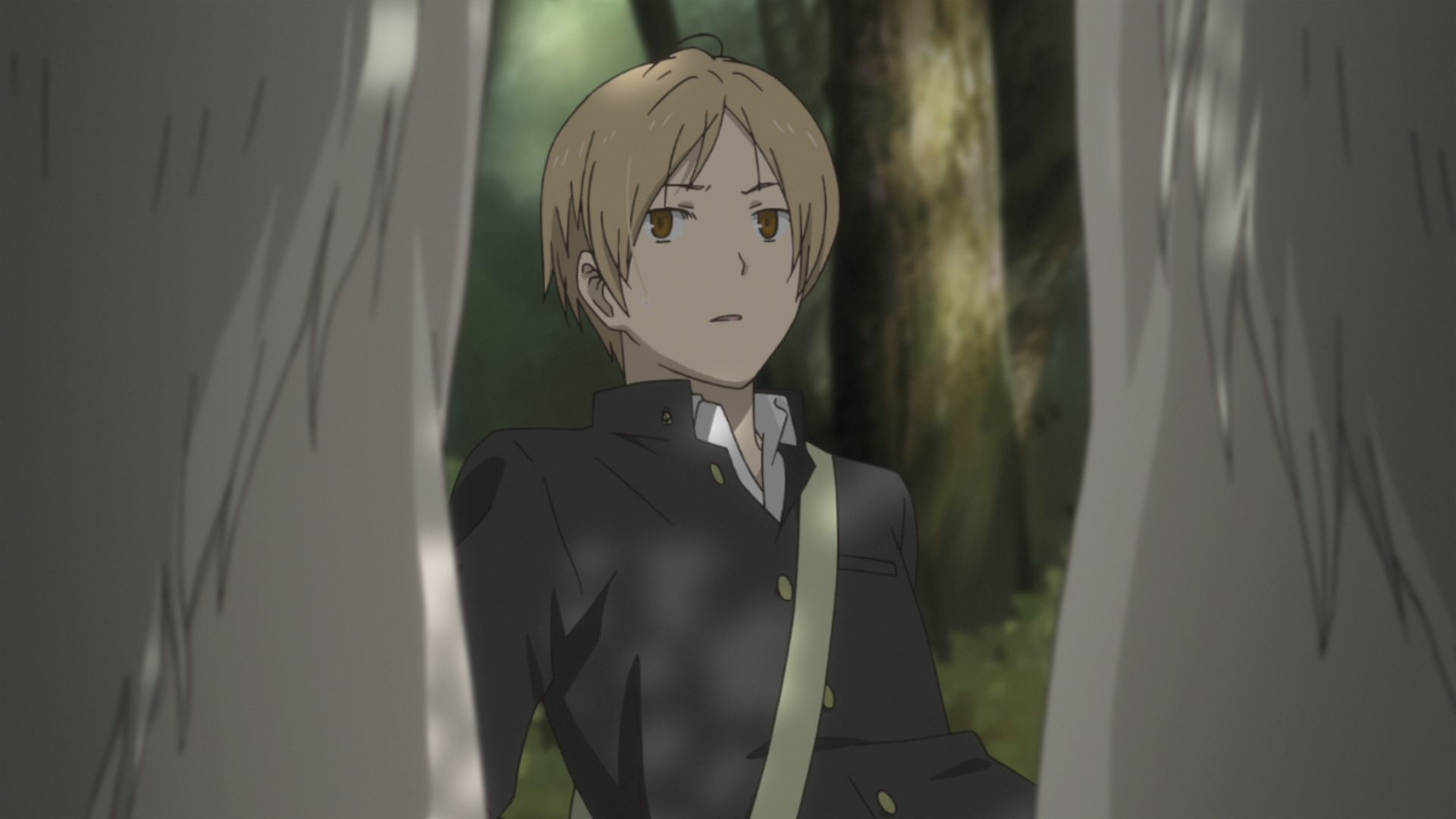 Книга друзів Нацуме