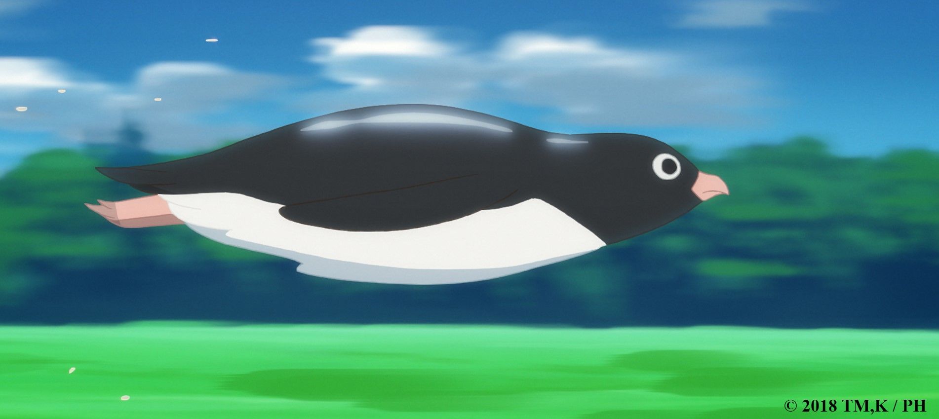 Таємне життя пінгвінів