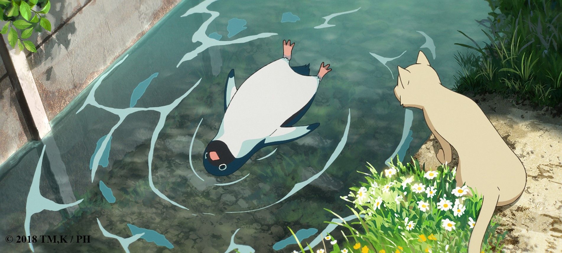 Таємне життя пінгвінів