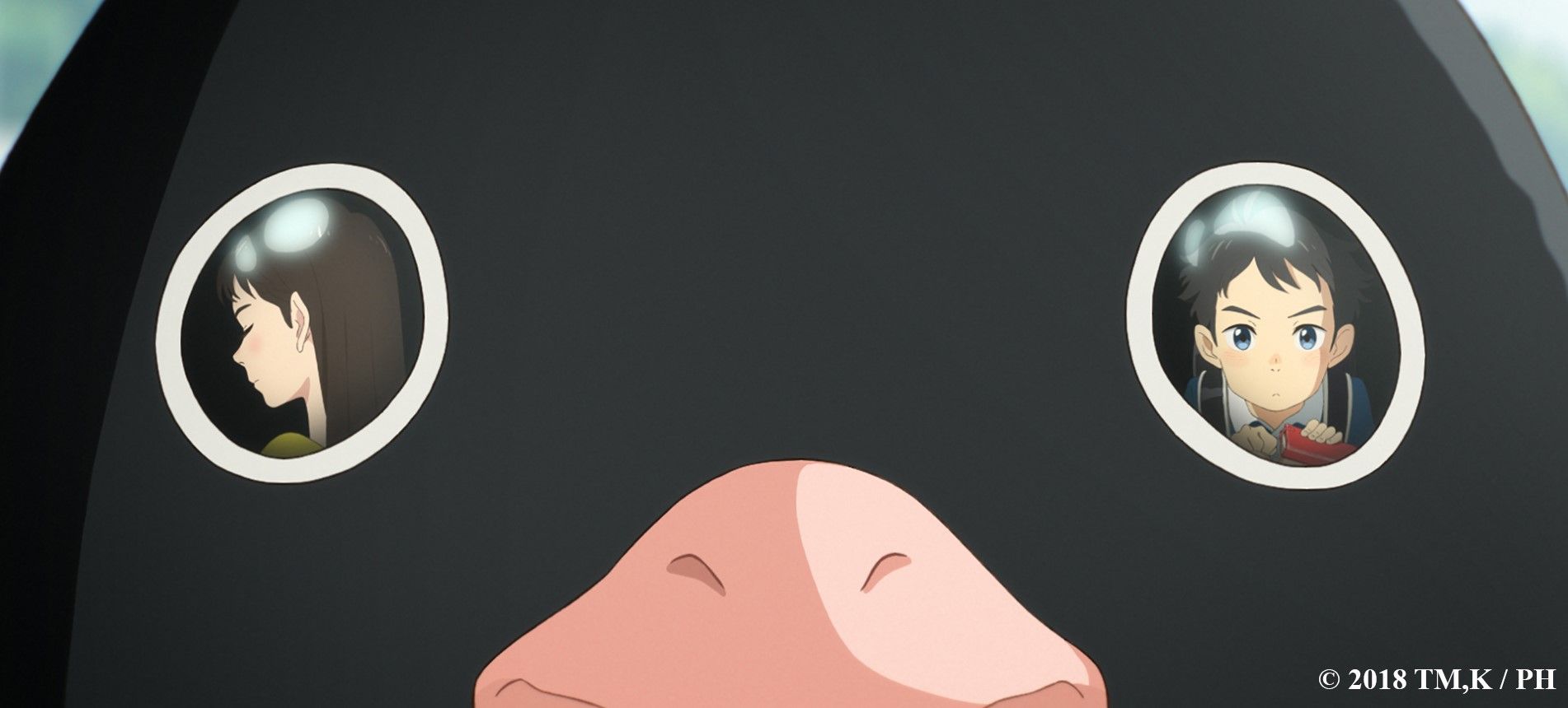 Таємне життя пінгвінів