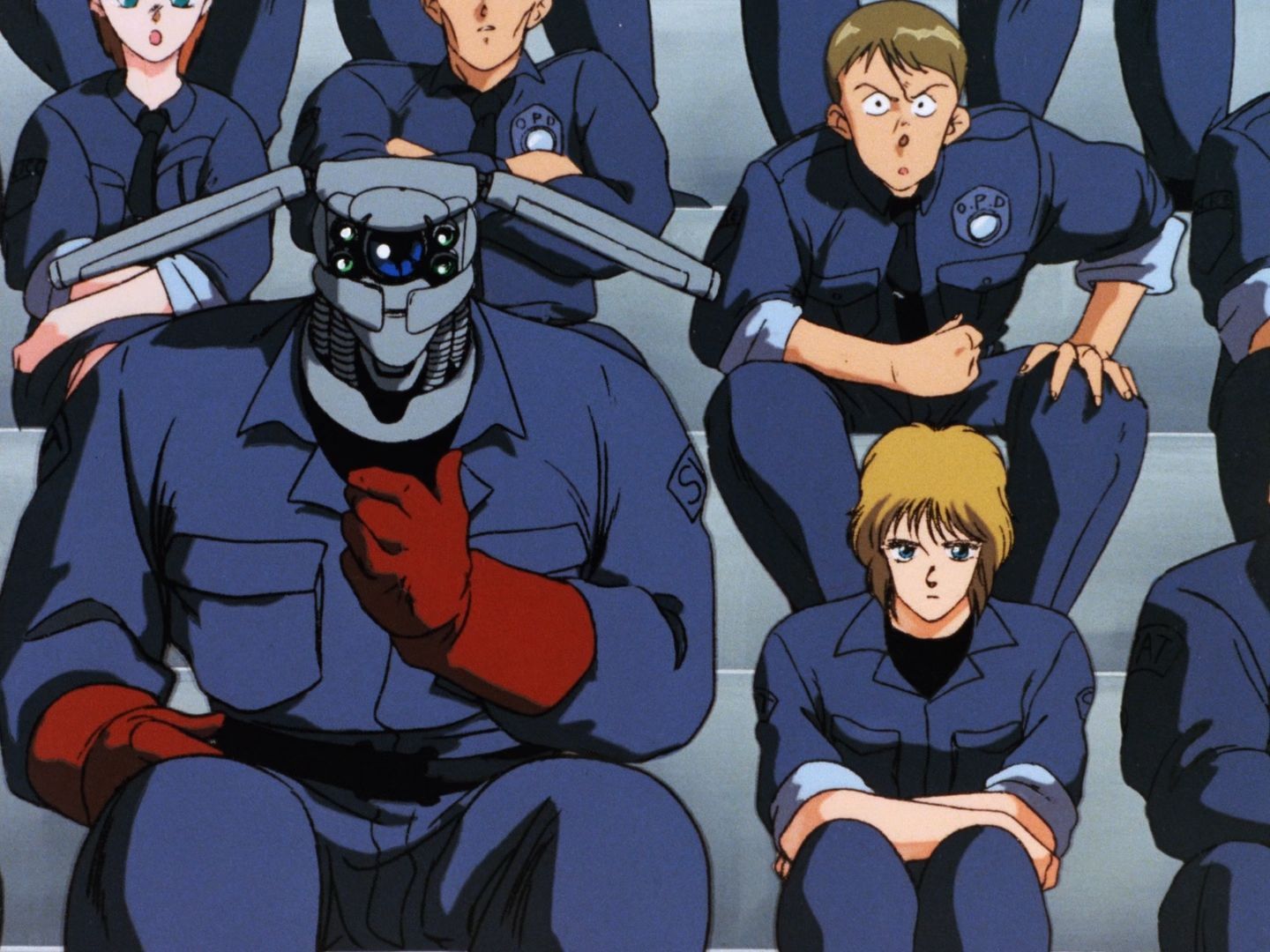 Яблучне зерня