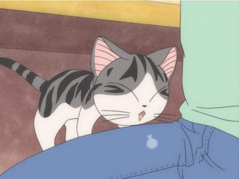 Милий дім Чі / Чі. Життя однієї киці