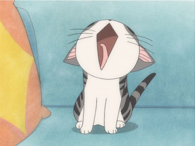 Милий дім Чі / Чі. Життя однієї киці