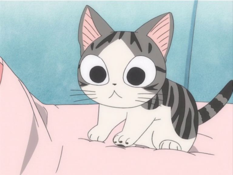 Милий дім Чі / Чі. Життя однієї киці