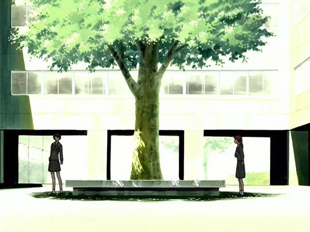 Хроніки Дванадцяти Королівств / Дванадцять королівств