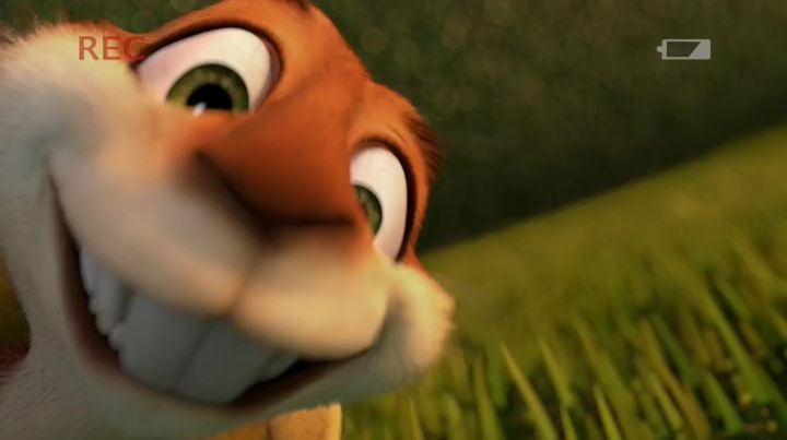 Хеммі. Історія з бумерангом