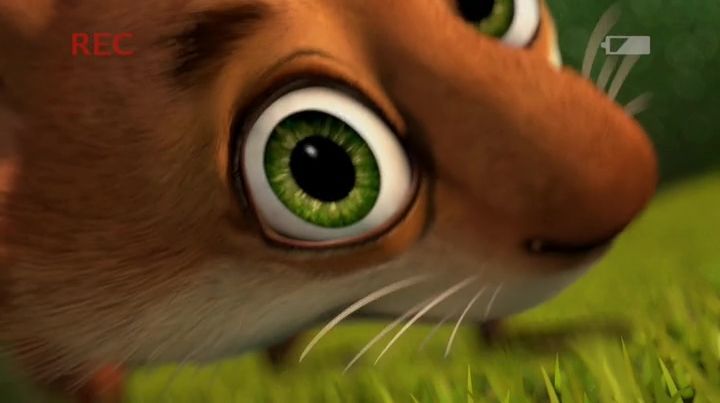 Хеммі. Історія з бумерангом