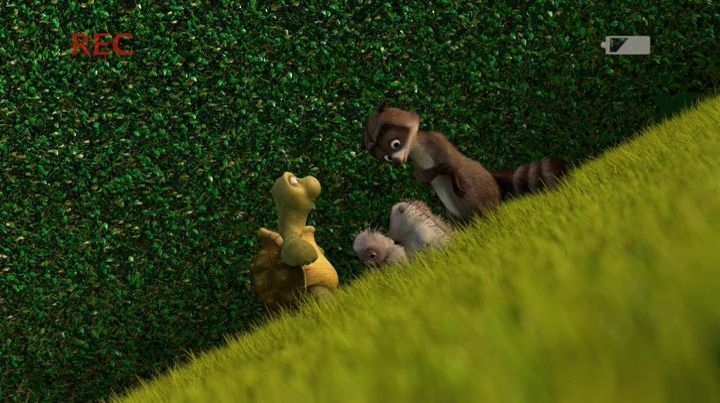 Хеммі. Історія з бумерангом