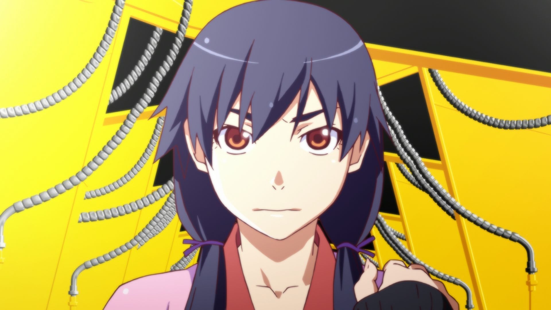 Історія квітів