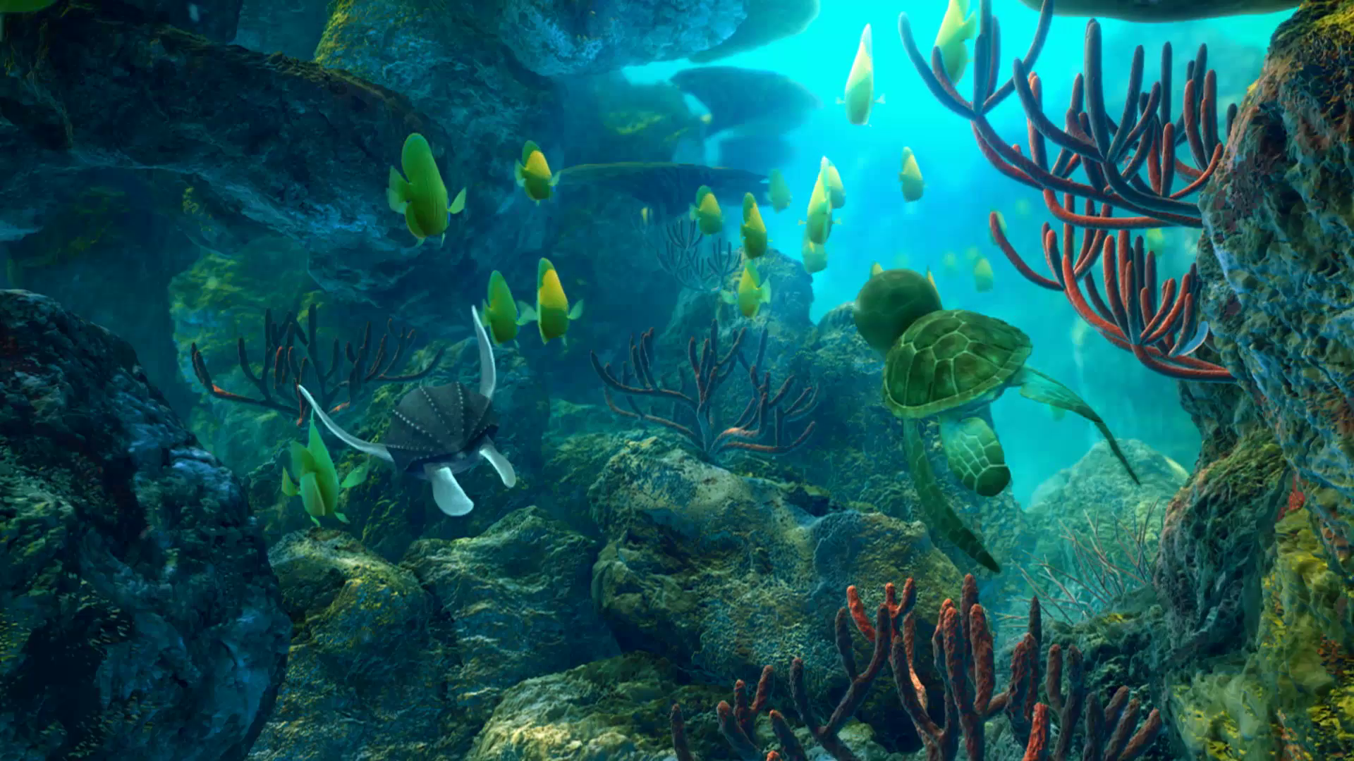 Воруши ластами!