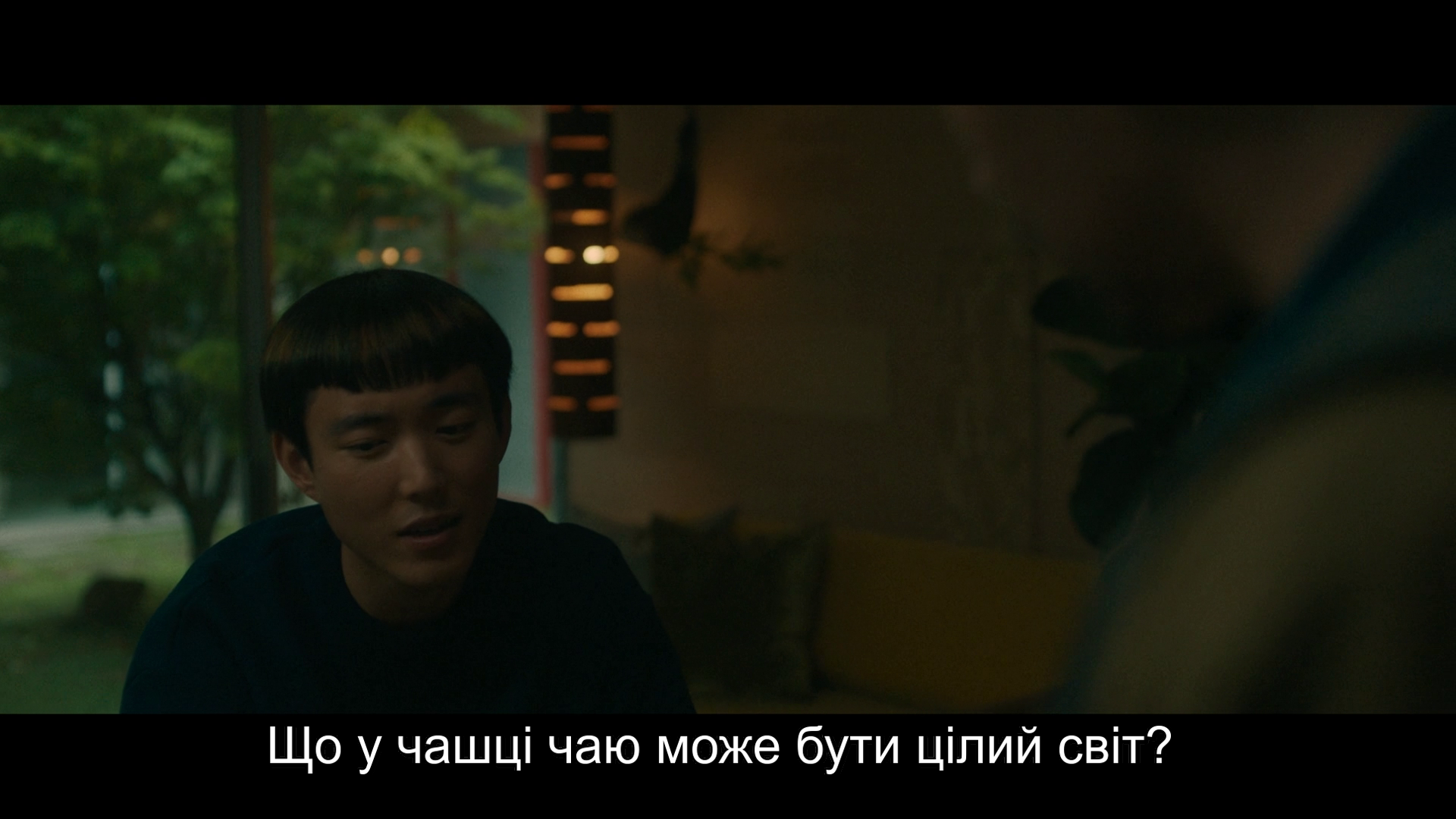 Після Янга