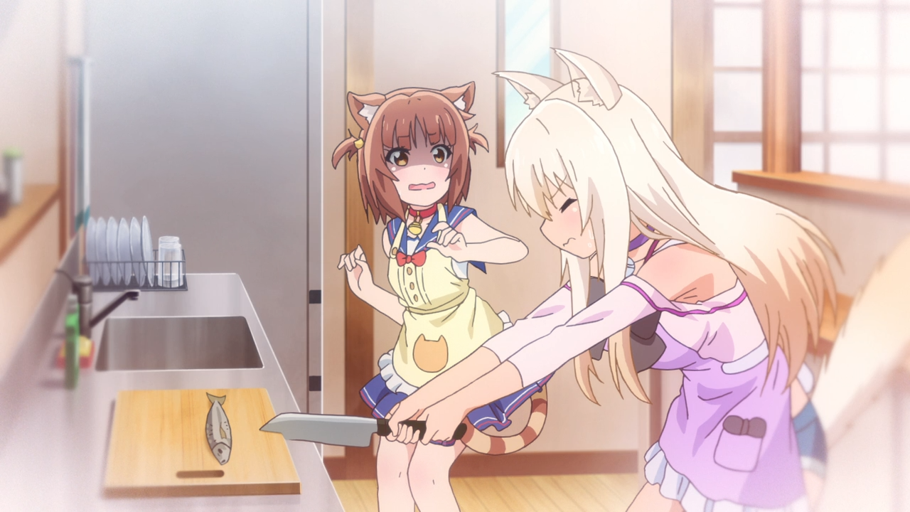 Котячий рай