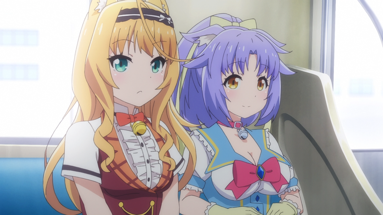 Котячий рай