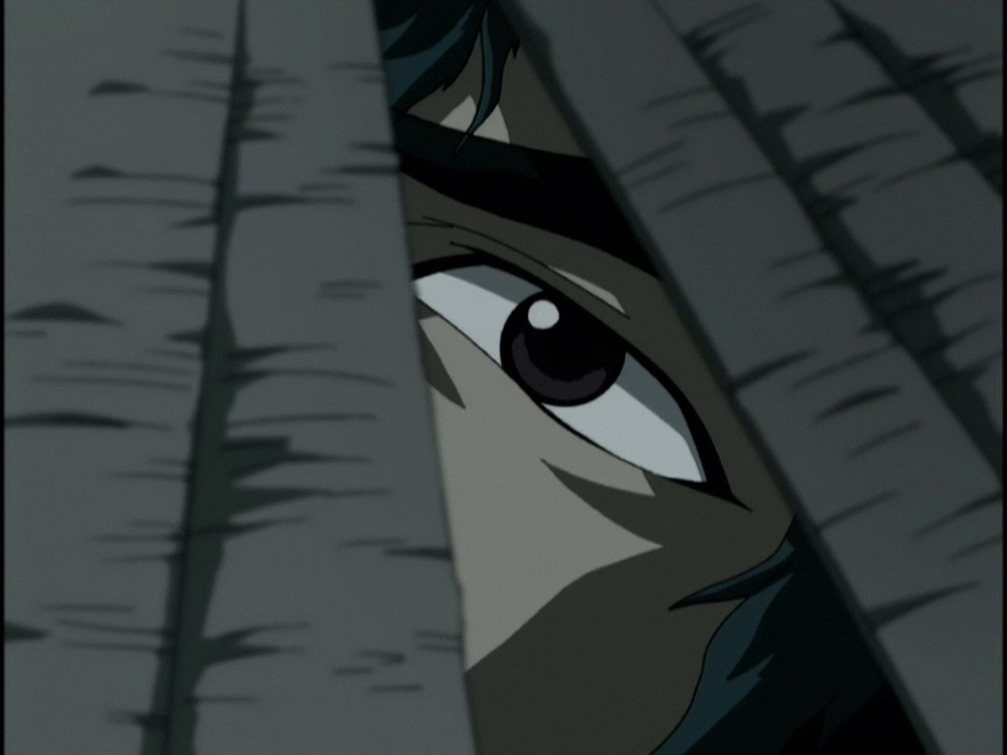 Манускрипт ніндзя: Нова глава