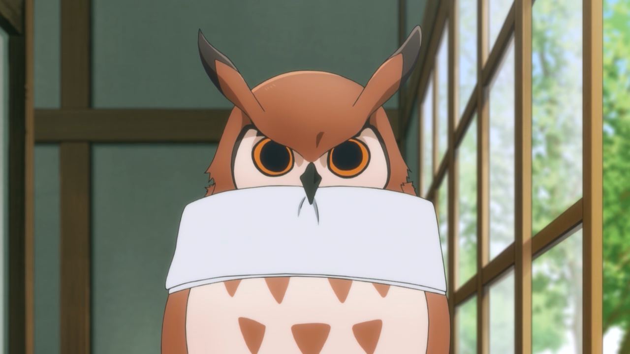 Політ відьми