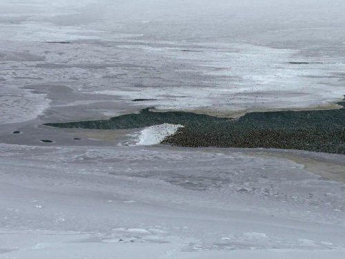 Замерзла планета