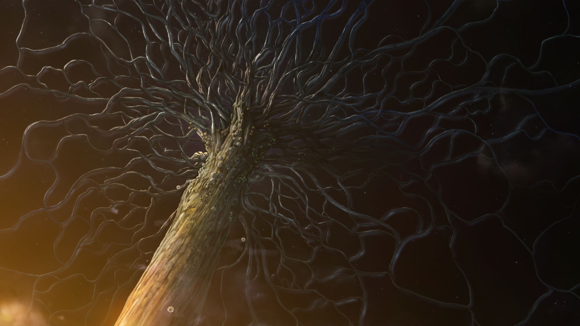 Кайна з великого сніжного моря