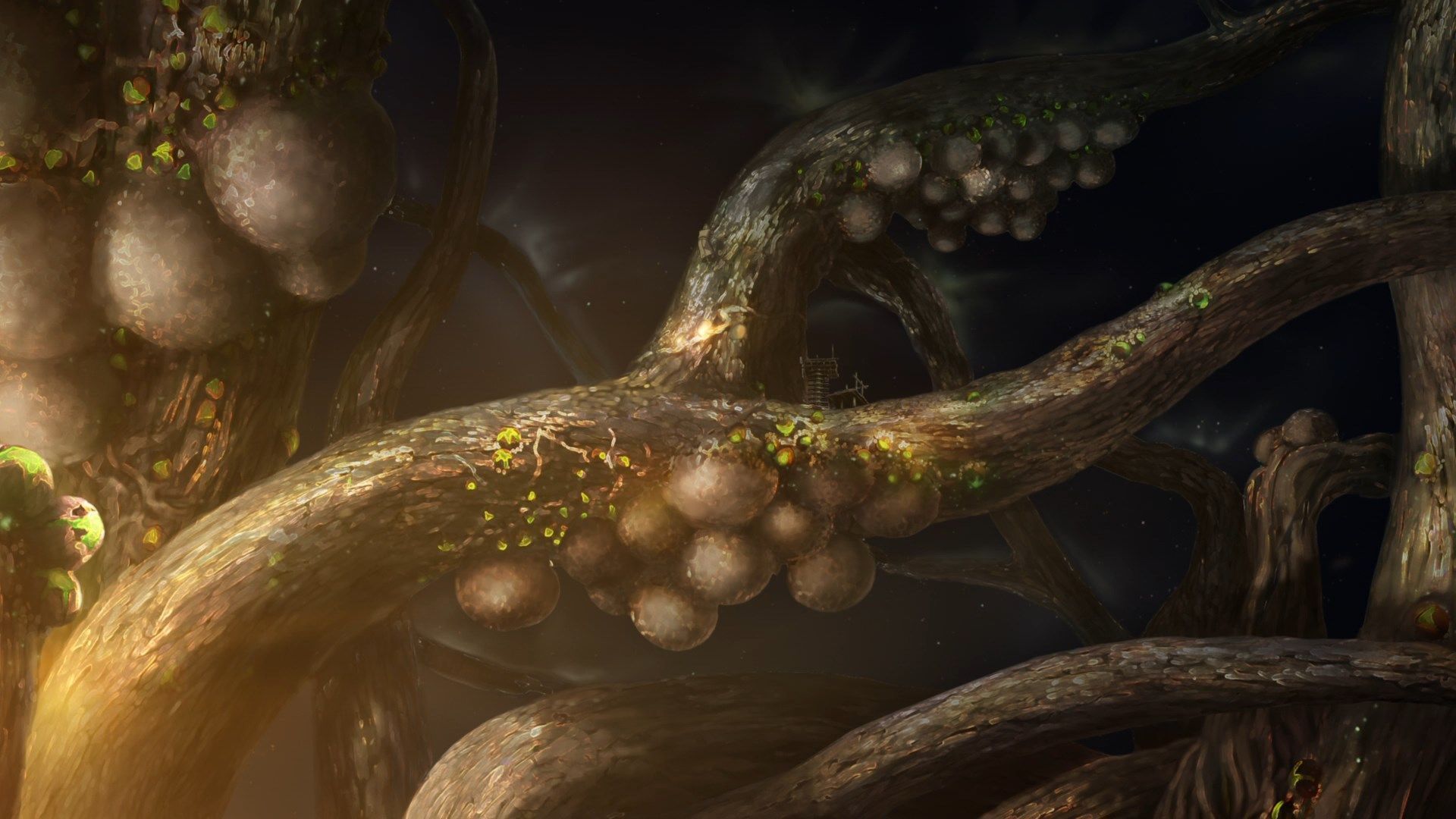 Кайна з великого сніжного моря