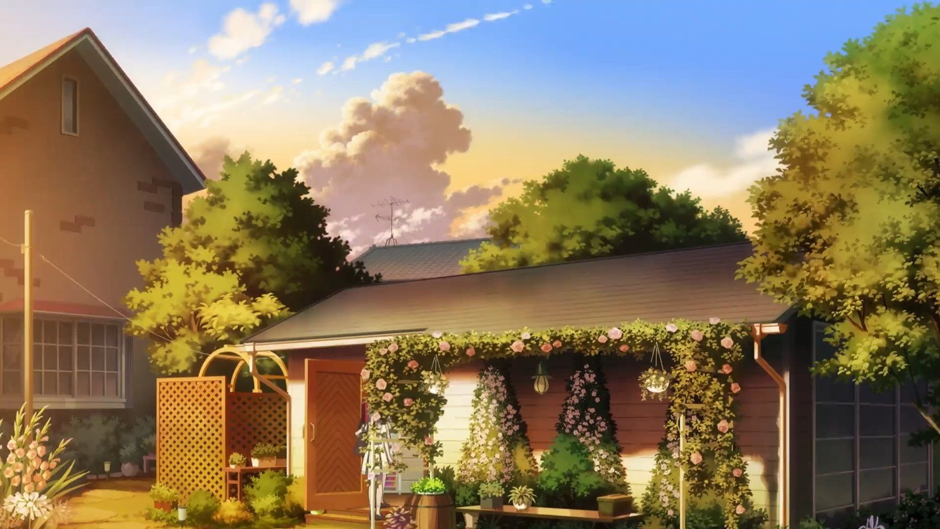 Морфонізація