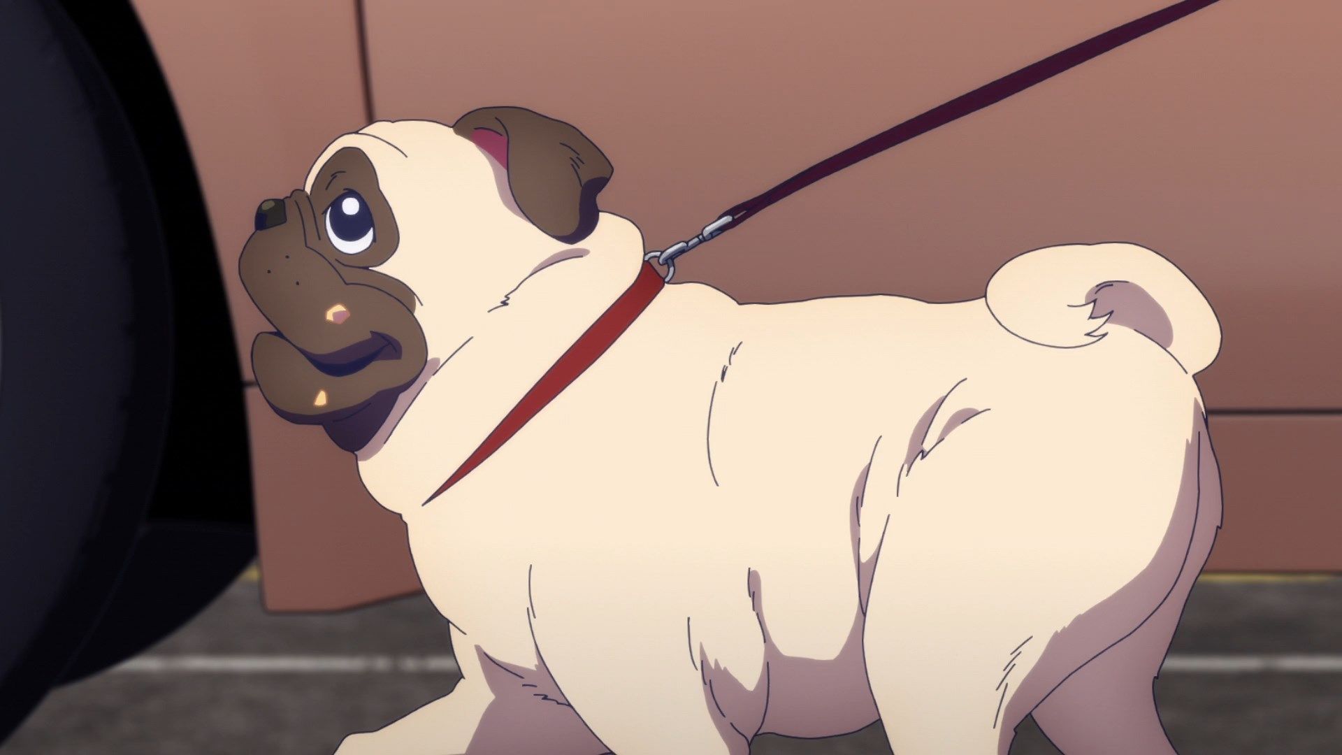 Старша карта