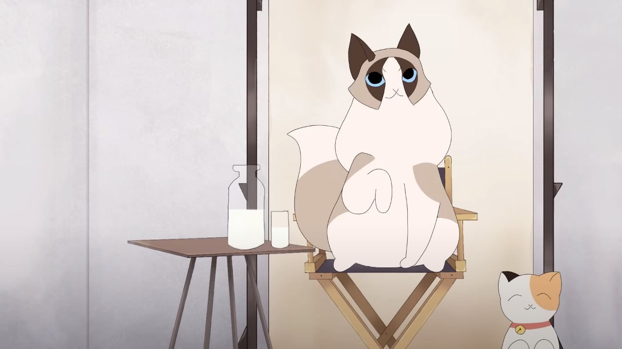 Котячий Кастинг