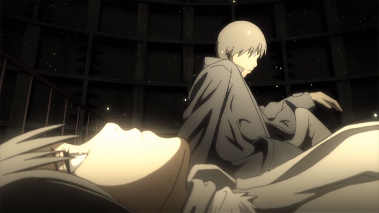 Блідий кокон