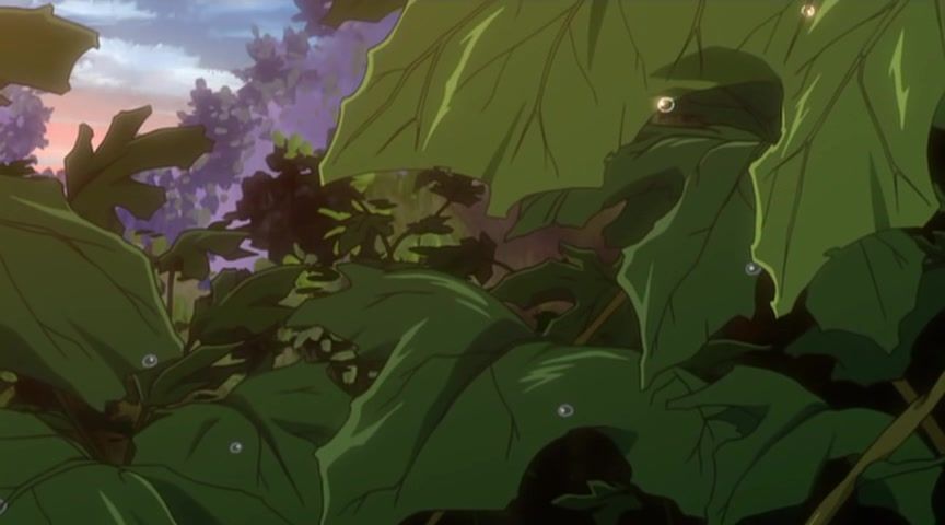 Мисливець на відьму