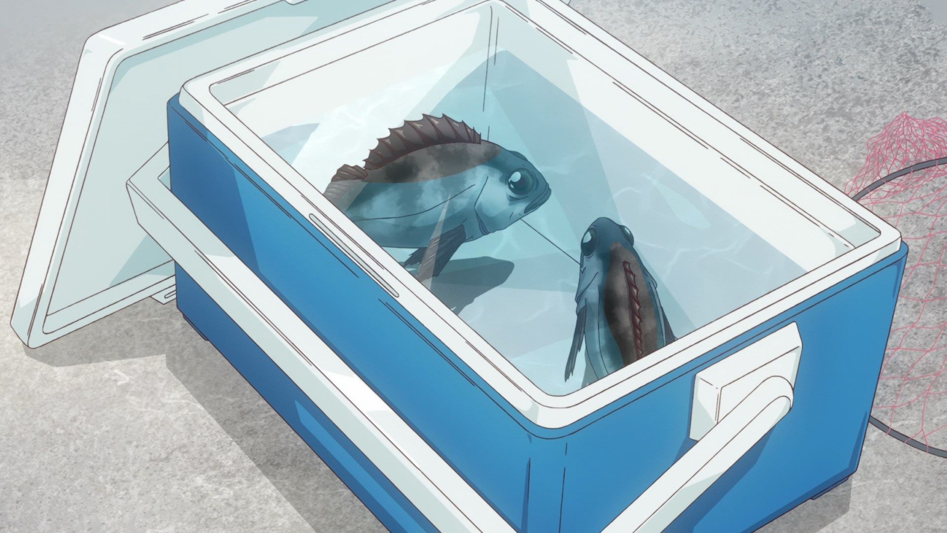 Повільна петля