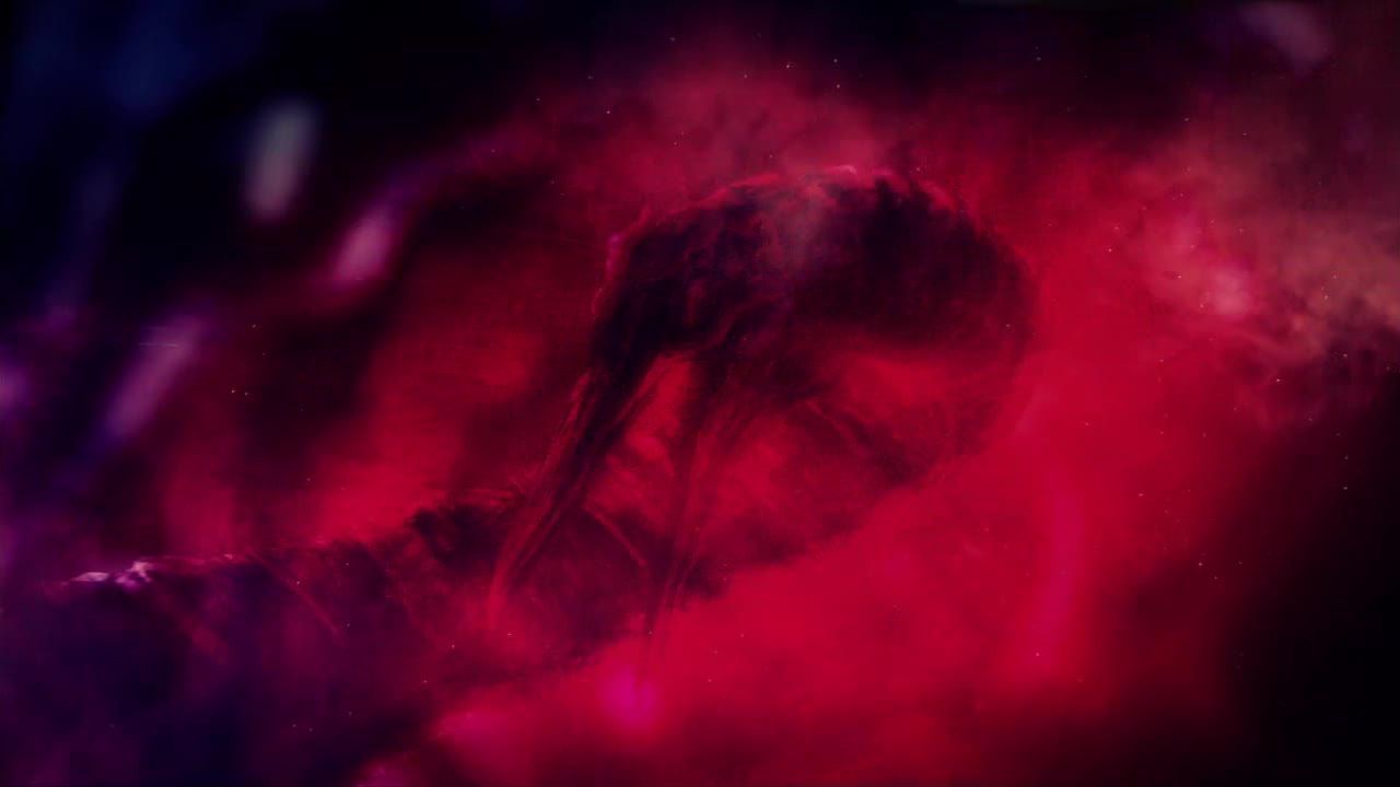 Тінь крокодила